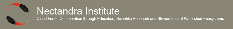 Nectandra Institute