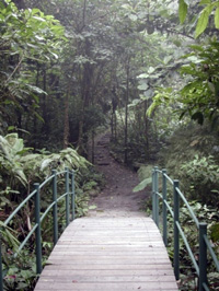 image of footbridge