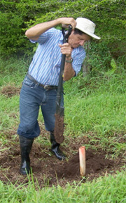 man planting