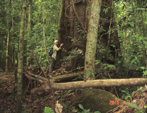 image of Ann Gallie hugging tree